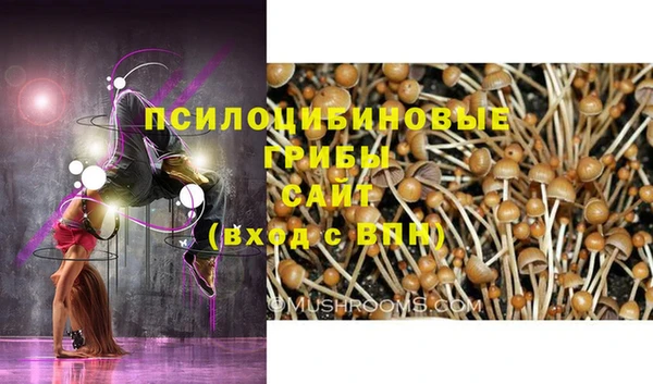 дживик Нефтегорск