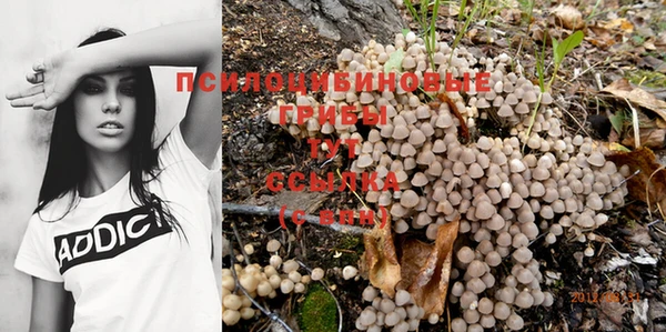 круглые Нефтекумск