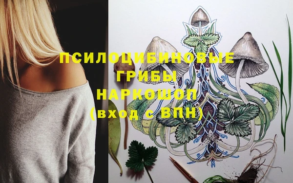 гидропоника Новозыбков