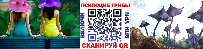 магазин продажи   Козельск  Галлюциногенные грибы мицелий 